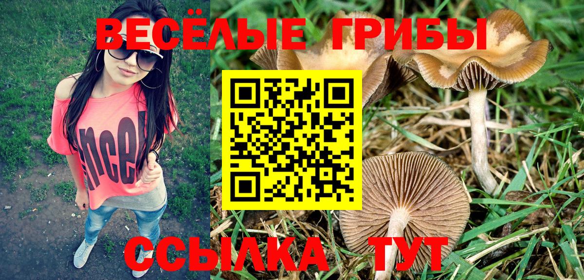 Псилоцибиновые грибы ЛСД Урюпинск